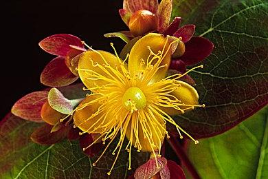 《战地6》BETA公测服务器地图 确认有港服